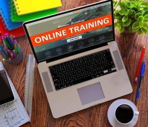 laptop online training