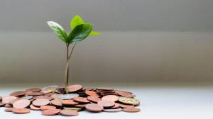 Finance support noodpakket