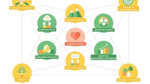 Teamflow model nl